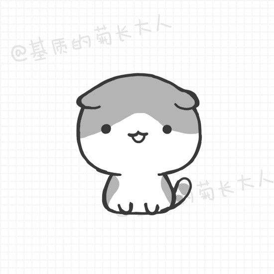 个人细心陪练陪驾