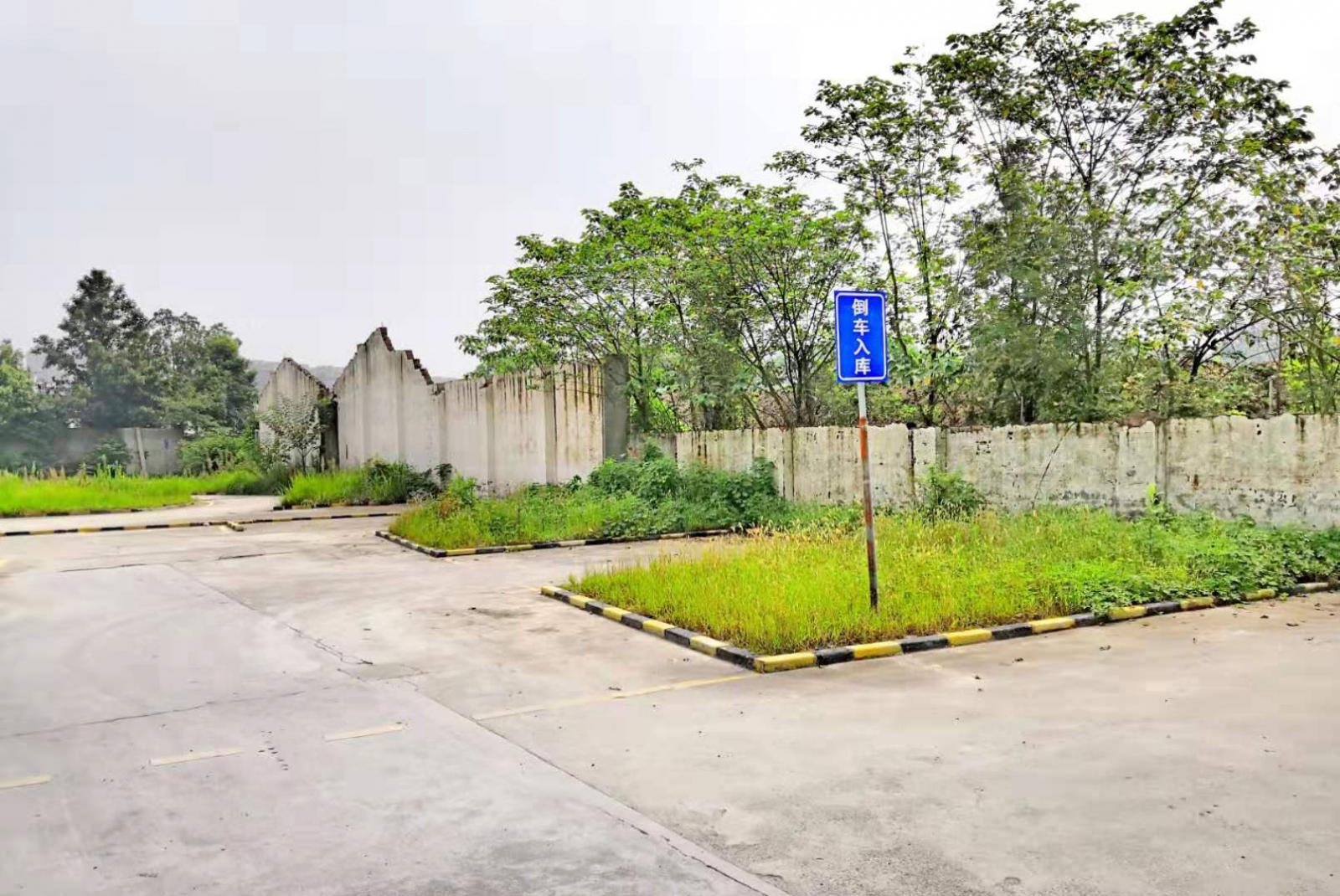 成都市金箭驾校